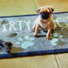 Dirty-Dog-1L1