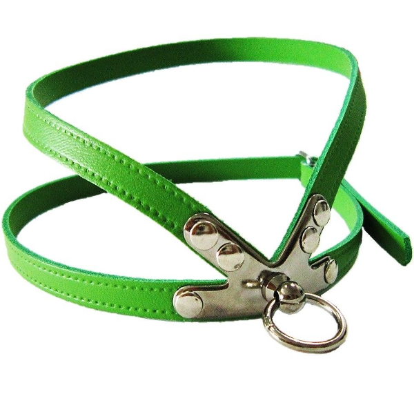 Pet Expert Ham Clasic verde1