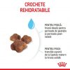 RC-SPT-DRY-Babycat-CV-4-ro_RO-1-510x510