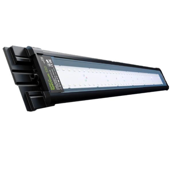 SPECTRUM lampa5