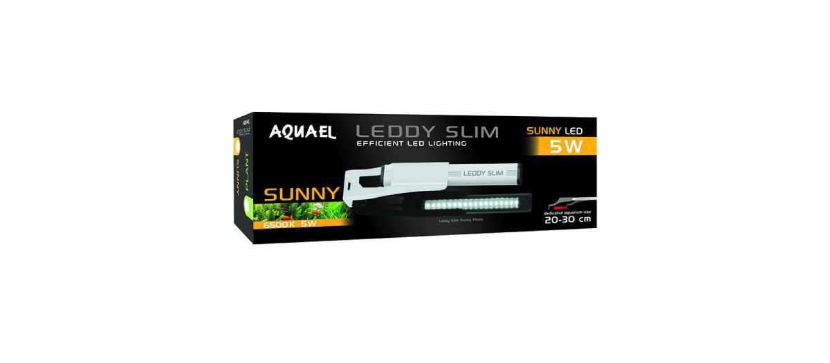 aquel-sunny-6