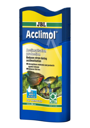 freepik-untitled-project-202602181223402lnd