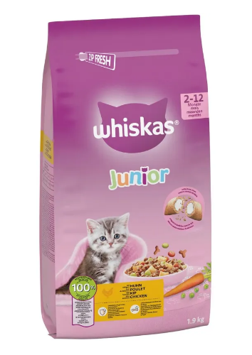 freepik-untitled-project-20260304074754IcU0