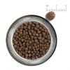 grain-free-somon--510x505