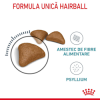 rc-fcn-hairballcare-cv-2-ro-ro-v1