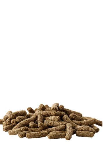 freepik-untitled-project-20251218114927qTuv