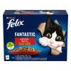 FELIX FANTASTIC GiJ Pui_1