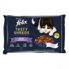 7613287249579_FELIX TASTY SHRED SGIG MxdSl_1