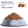 club4paw miel orez2