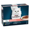 8445291520905_GOURMET PERLE Vita_2